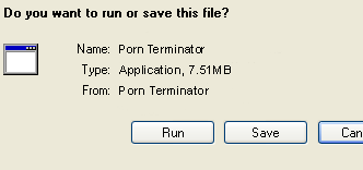 Download Porn Terminator